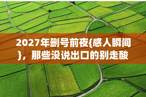 那些没说出口的别走酸了鼻图片