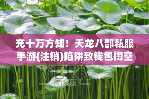 天龙八部私服手游图片