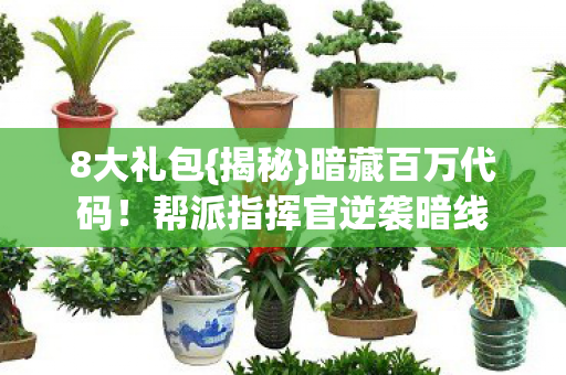帮派指挥官逆袭暗线图片