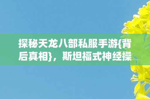 探秘天龙八部私服手游图片
