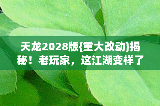 天龙2028版图片