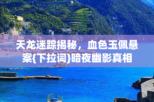 天龙迷踪揭秘图片