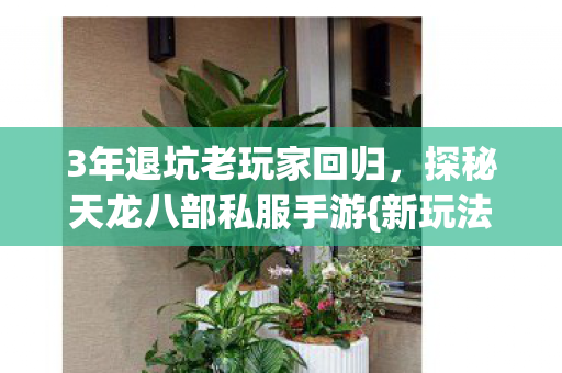 探秘天龙八部私服手游图片