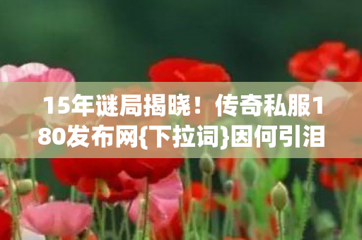 传奇私服180发布网图片