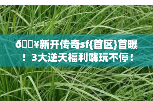 3大逆天福利嗨玩不停图片