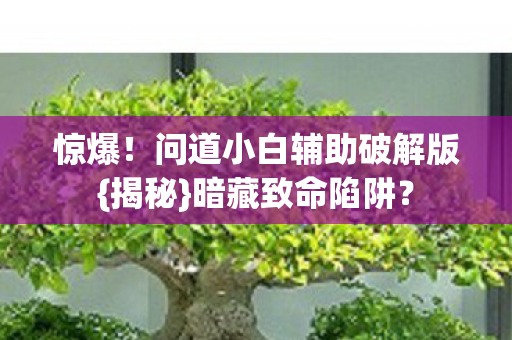 问道小白辅助破解版图片