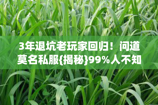 3年退坑老玩家回归图片