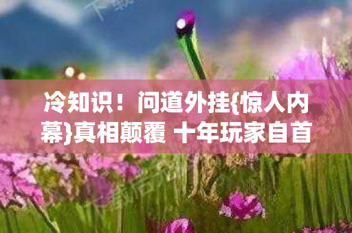 真相颠覆 十年玩家自首图片