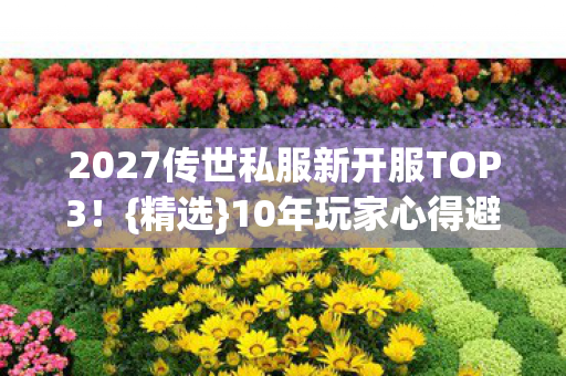 2027传世私服新开服TOP3图片