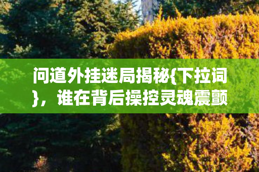 谁在背后操控灵魂震颤图片