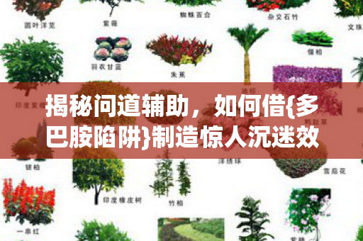 制造惊人沉迷效应图片