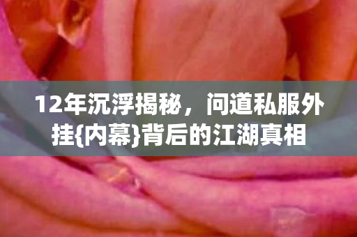 12年沉浮揭秘图片