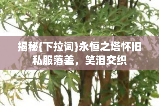 永恒之塔怀旧私服落差图片