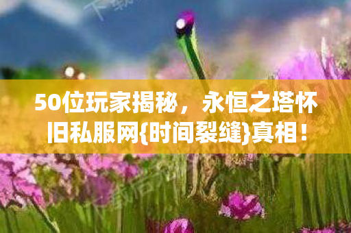 永恒之塔怀旧私服网图片
