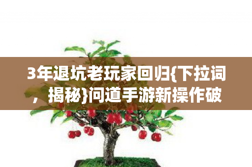 问道手游新操作破防真相图片