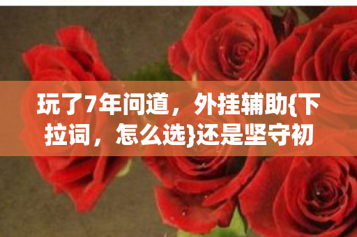 玩了7年问道图片