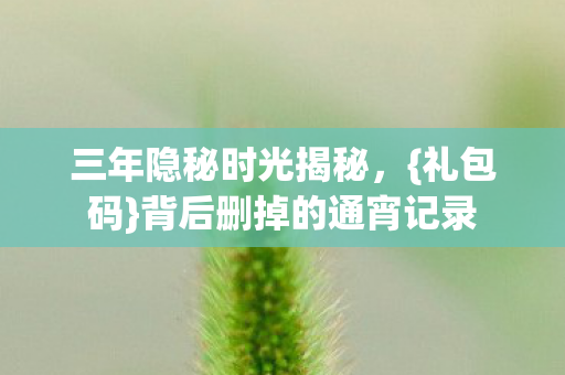 背后删掉的通宵记录图片