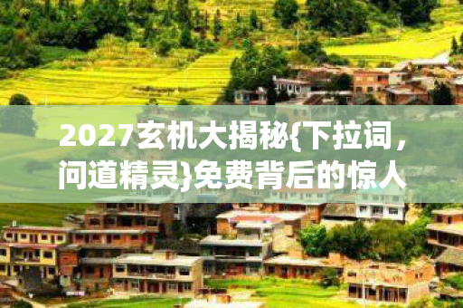 2027玄机大揭秘图片