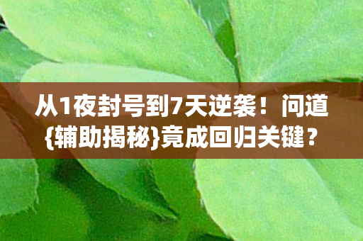从1夜封号到7天逆袭图片
