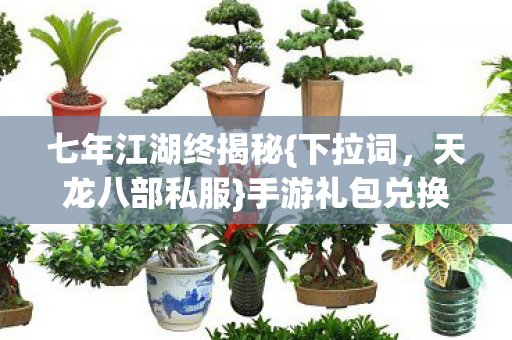 手游礼包兑换实录图片