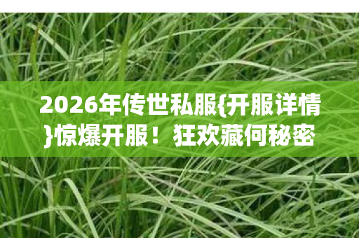 2026年传世私服图片