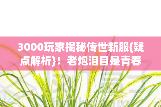 3000玩家揭秘传世新服图片