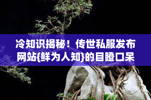 传世私服发布网站图片