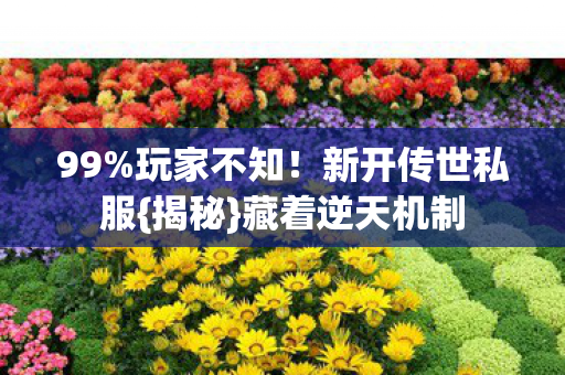 新开传世私服图片