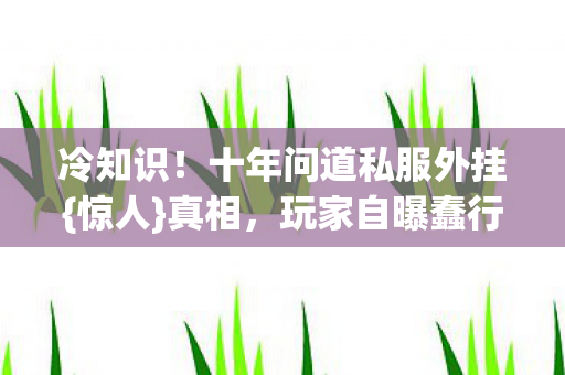 十年问道私服外挂图片
