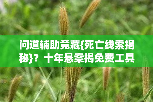 十年悬案揭免费工具真相图片