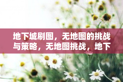 地下城刷图,无地图的挑战与策略,无地图挑战,地下城刷图的策略与冒险 地下城刷图,无地图的挑战与策略,无地图挑战,地下城刷图的策略与冒险