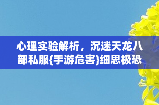 沉迷天龙八部私服图片