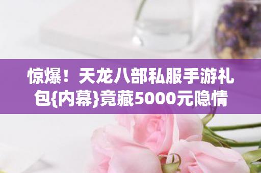 天龙八部私服手游礼包图片