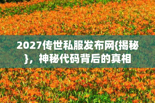 2027传世私服发布网图片