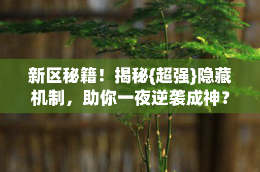 助你一夜逆袭成神图片