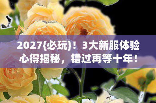3大新服体验心得揭秘图片