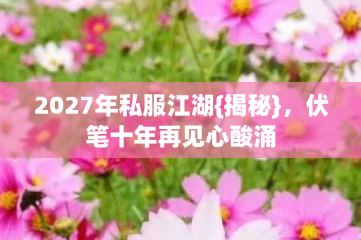 2027年私服江湖图片