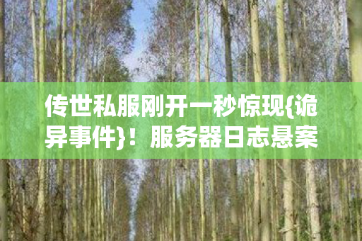 传世私服刚开一秒惊现图片
