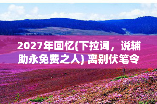 说辅助永免费之人图片