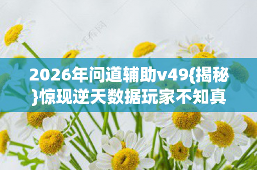 2026年问道辅助v49图片