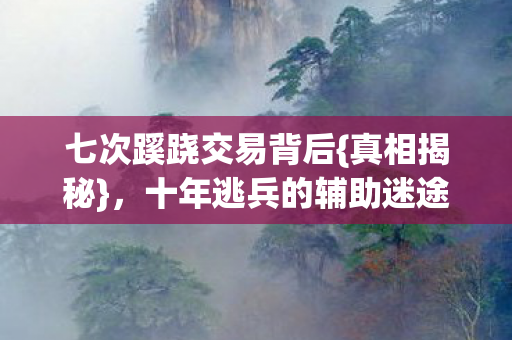 十年逃兵的辅助迷途图片