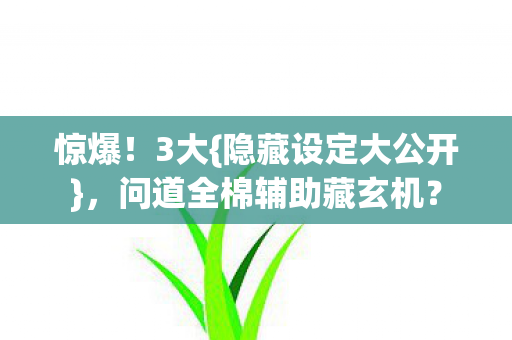 问道全棉辅助藏玄机图片