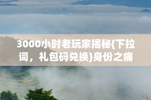 3000小时老玩家揭秘图片