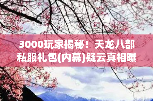 3000玩家揭秘图片