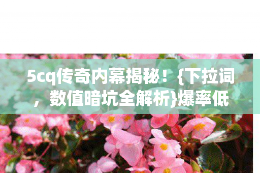 5cq传奇内幕揭秘图片