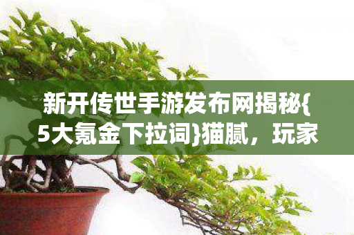 新开传世手游发布网揭秘图片