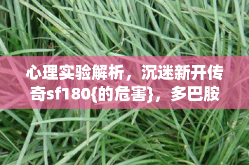 沉迷新开传奇sf180图片