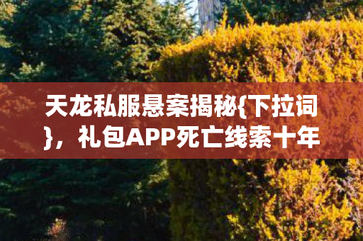 礼包APP死亡线索十年谜团图片