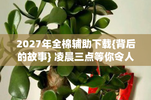 2027年全棉辅助下载图片