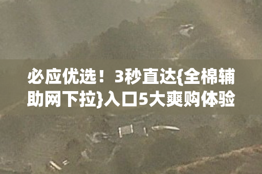 入口5大爽购体验图片